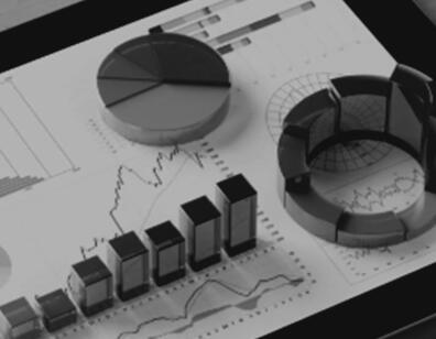 Financial Reports